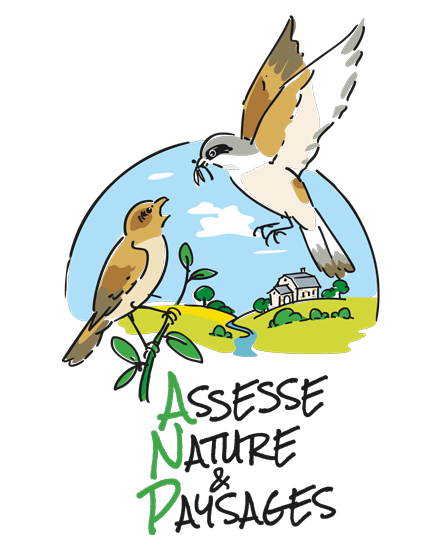Assesse Nature & Paysages